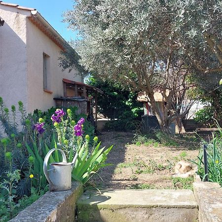 Villa 80 M2 Jardin Terrasse 3 Chambres Provence Volx المظهر الخارجي الصورة